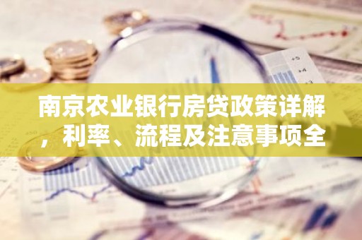 南京农业银行房贷政策详解，利率、流程及注意事项全解析