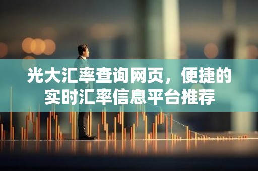 光大汇率查询网页，便捷的实时汇率信息平台推荐