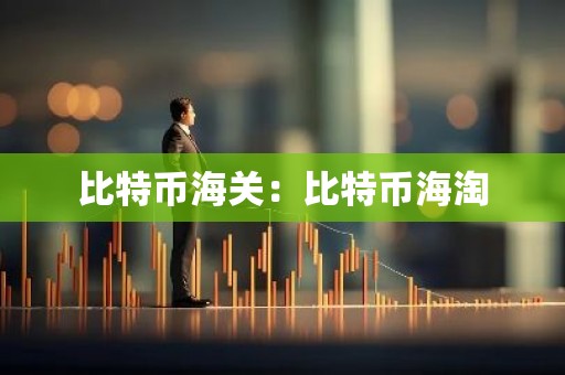 比特币海关：比特币海淘