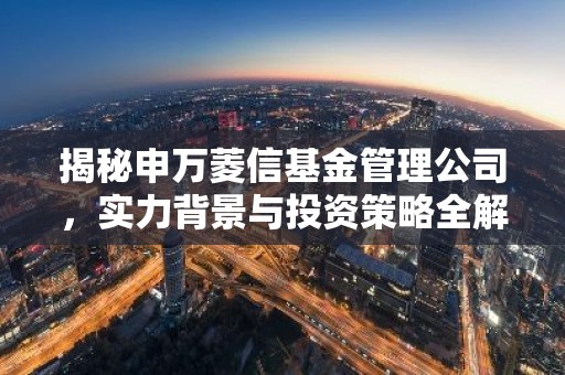 揭秘申万菱信基金管理公司，实力背景与投资策略全解析