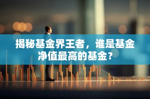 揭秘基金界王者，谁是基金净值最高的基金？