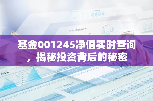 基金001245净值实时查询，揭秘投资背后的秘密