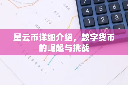 星云币详细介绍，数字货币的崛起与挑战
