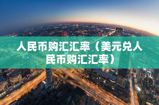 人民币购汇汇率（美元兑人民币购汇汇率）