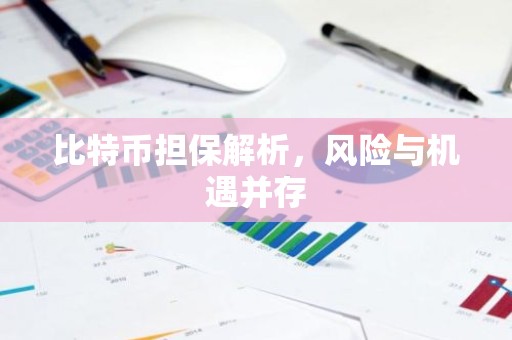比特币担保解析，风险与机遇并存