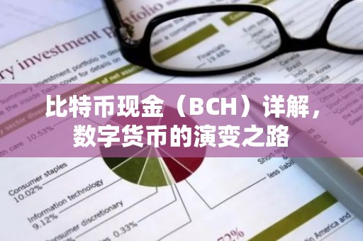 比特币现金（BCH）详解，数字货币的演变之路