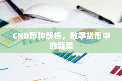 CND币种解析，数字货币中的新星
