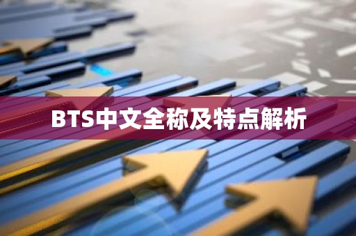 BTS中文全称及特点解析