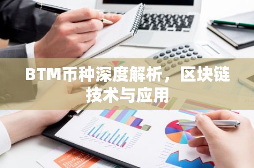 BTM币种深度解析，区块链技术与应用