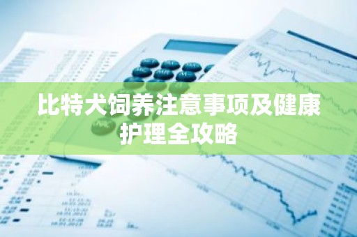 比特犬饲养注意事项及健康护理全攻略