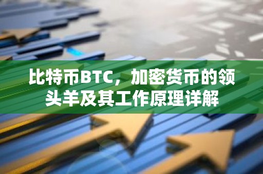 比特币BTC，加密货币的领头羊及其工作原理详解