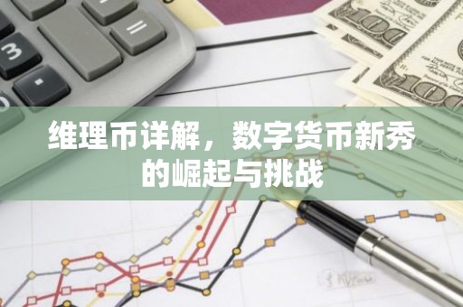 维理币详解，数字货币新秀的崛起与挑战