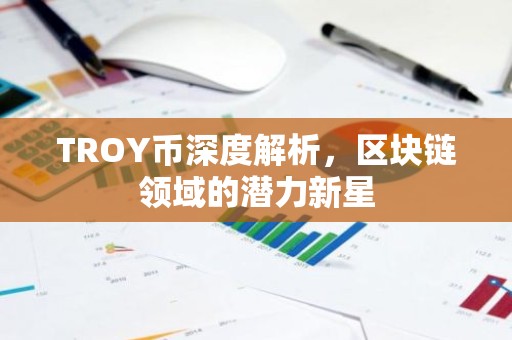 TROY币深度解析，区块链领域的潜力新星