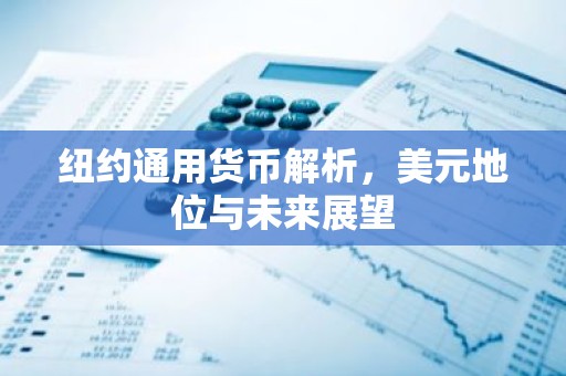 纽约通用货币解析，美元地位与未来展望