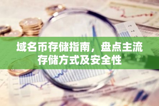 域名币存储指南，盘点主流存储方式及安全性