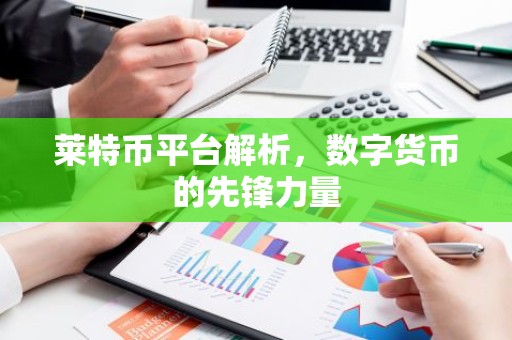 莱特币平台解析，数字货币的先锋力量