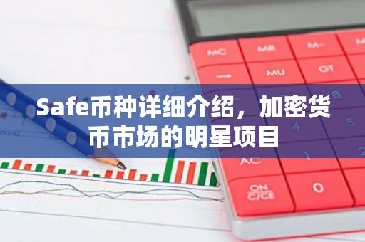 Safe币种详细介绍，加密货币市场的明星项目