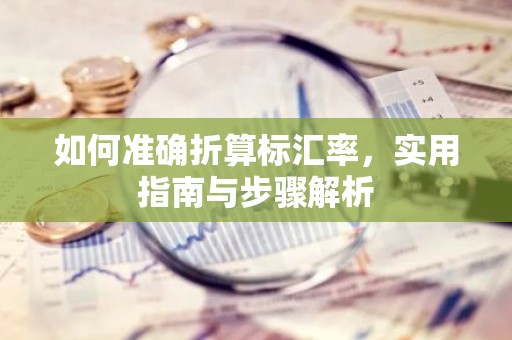 如何准确折算标汇率，实用指南与步骤解析
