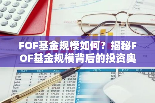 FOF基金规模如何？揭秘FOF基金规模背后的投资奥秘
