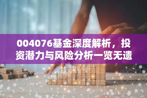 004076基金深度解析，投资潜力与风险分析一览无遗！
