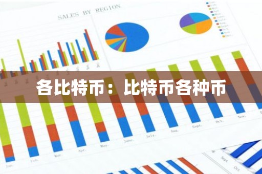 各比特币：比特币各种币