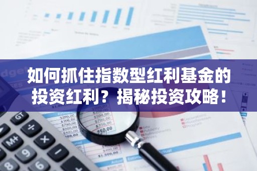如何抓住指数型红利基金的投资红利？揭秘投资攻略！