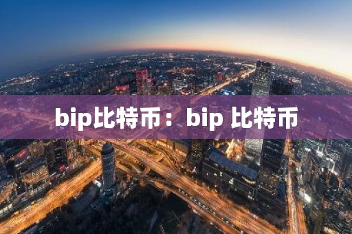 bip比特币：bip 比特币