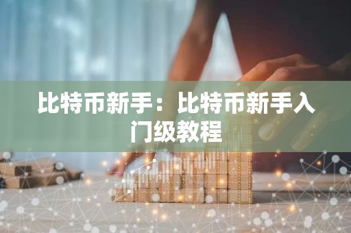 比特币新手：比特币新手入门级教程