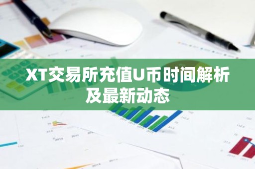 XT交易所充值U币时间解析及最新动态