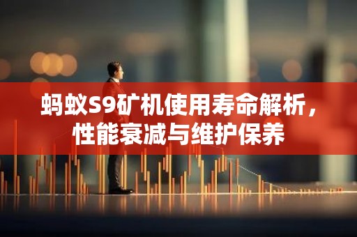 蚂蚁S9矿机使用寿命解析，性能衰减与维护保养