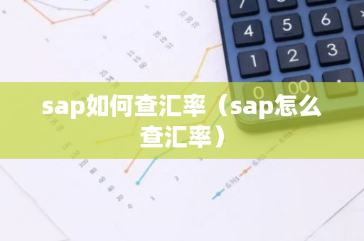 sap如何查汇率（sap怎么查汇率）