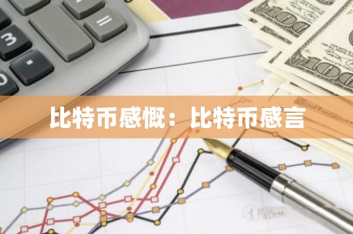 比特币感慨：比特币感言