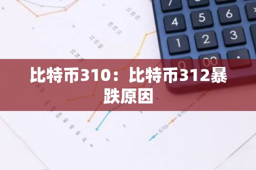 比特币310：比特币312暴跌原因