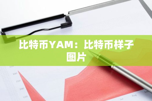 比特币YAM：比特币样子图片
