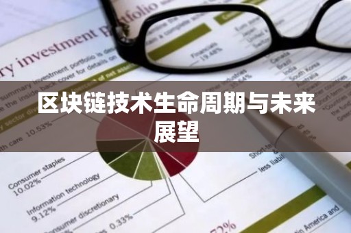 区块链技术生命周期与未来展望