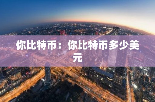 你比特币：你比特币多少美元