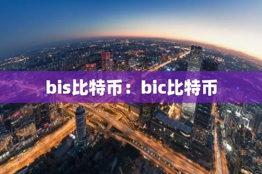 bis比特币：bic比特币