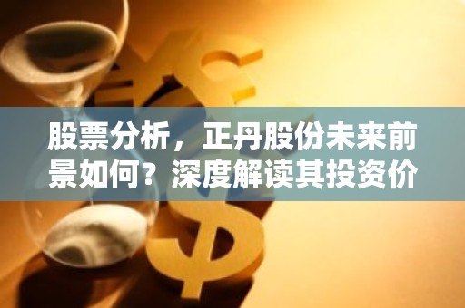 股票分析，正丹股份未来前景如何？深度解读其投资价值