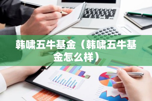 韩啸五牛基金（韩啸五牛基金怎么样）