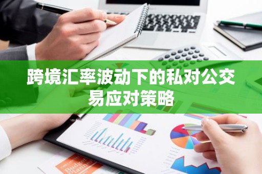 跨境汇率波动下的私对公交易应对策略
