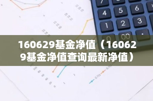 160629基金净值（160629基金净值查询最新净值）
