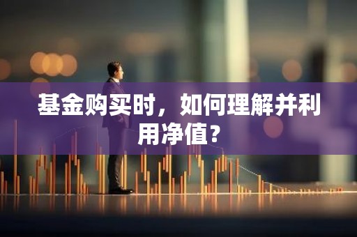 基金购买时，如何理解并利用净值？