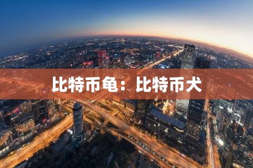 比特币龟：比特币犬