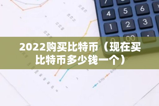 2022购买比特币（现在买比特币多少钱一个）