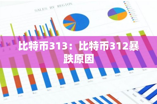 比特币313：比特币312暴跌原因