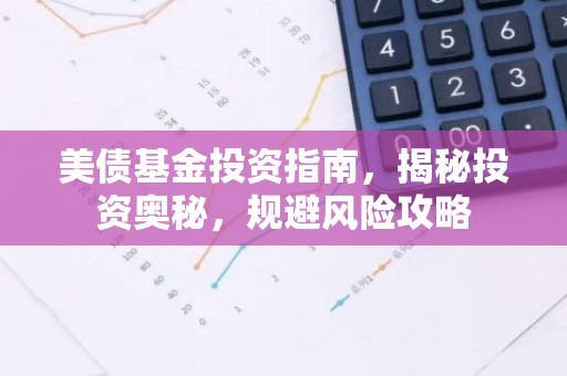 美债基金投资指南，揭秘投资奥秘，规避风险攻略