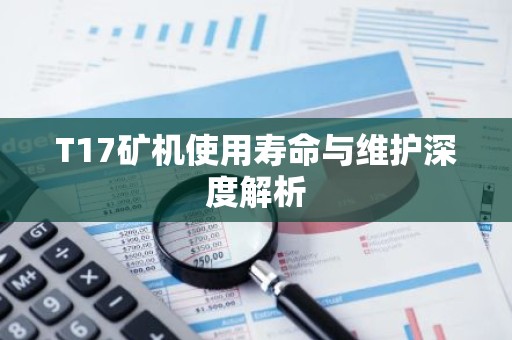 T17矿机使用寿命与维护深度解析