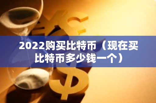 2022购买比特币（现在买比特币多少钱一个）