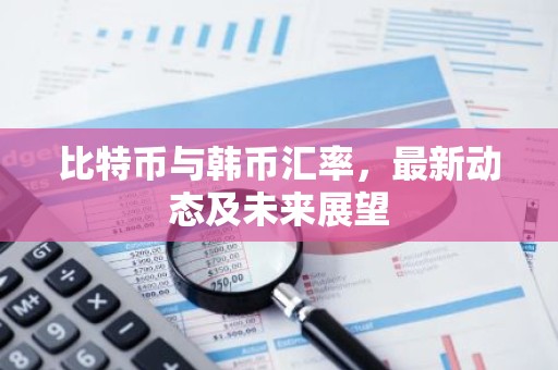 比特币与韩币汇率，最新动态及未来展望