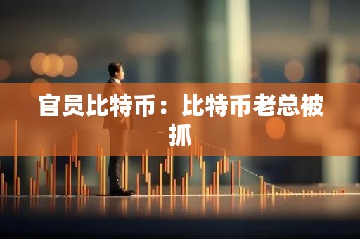 官员比特币：比特币老总被抓